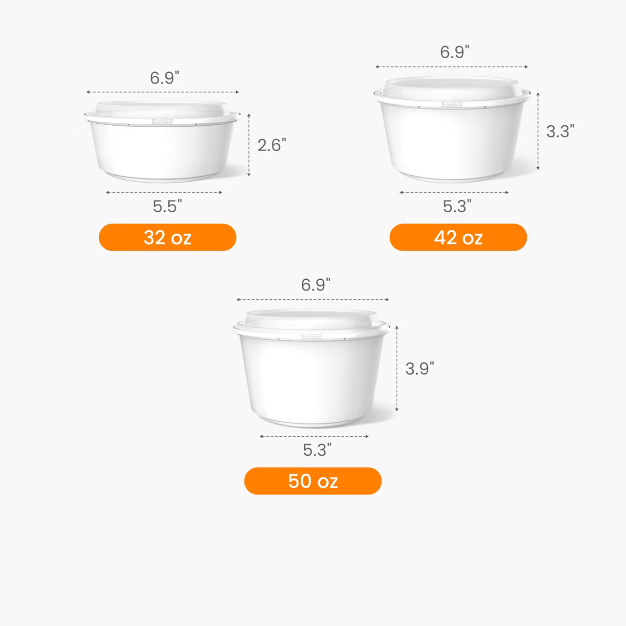 Plastic Soup Bowl with Lid Size