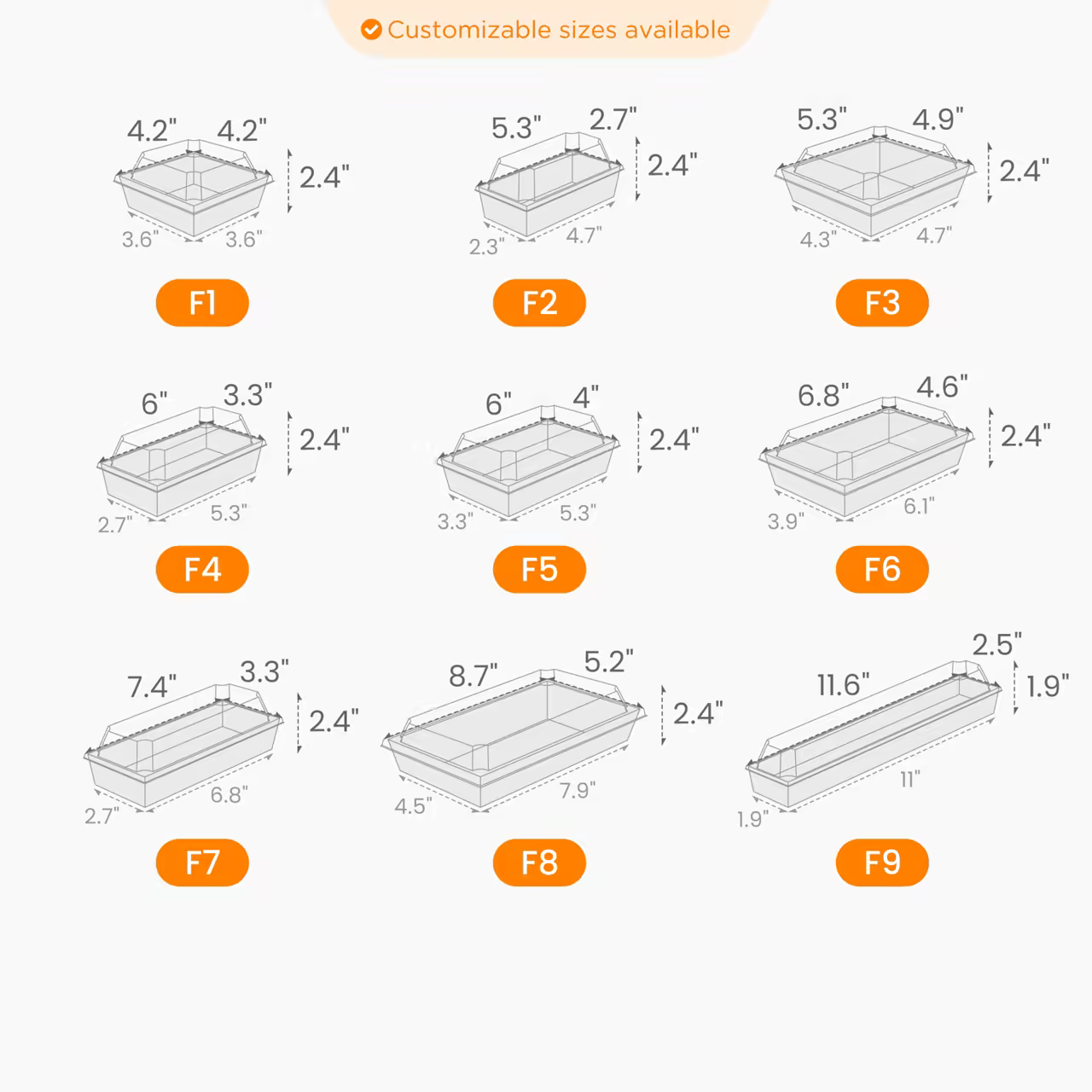 Premium Paper Food Tray Size