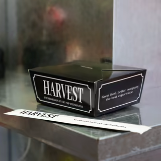 Recyclable Take-Out Boxes