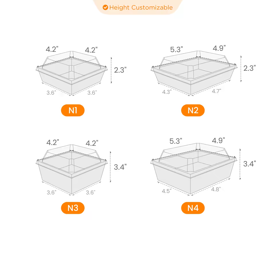 Dessert Box w/ Clear Lid Size