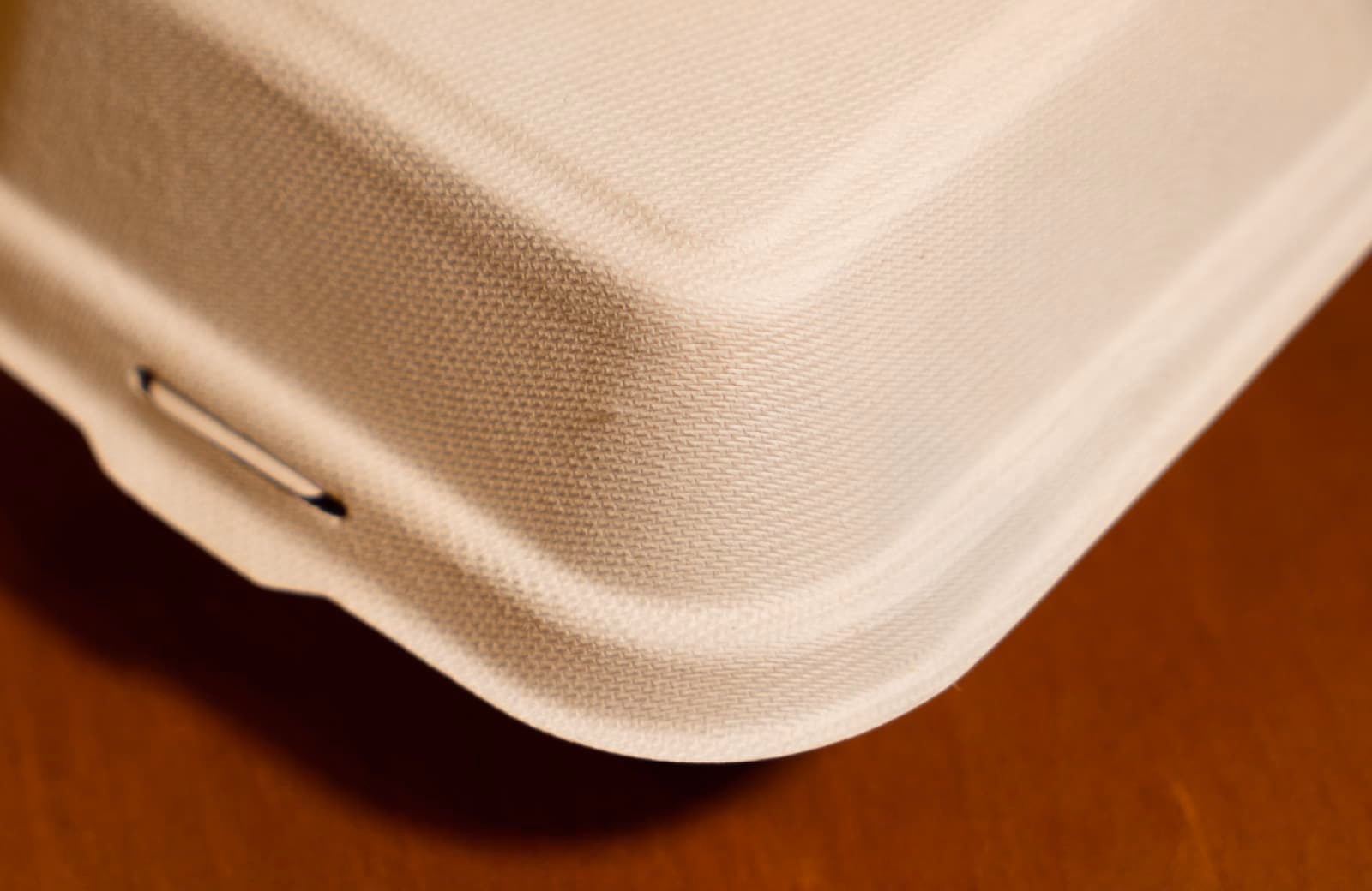 Eco-Friendly Fiber Burger Box