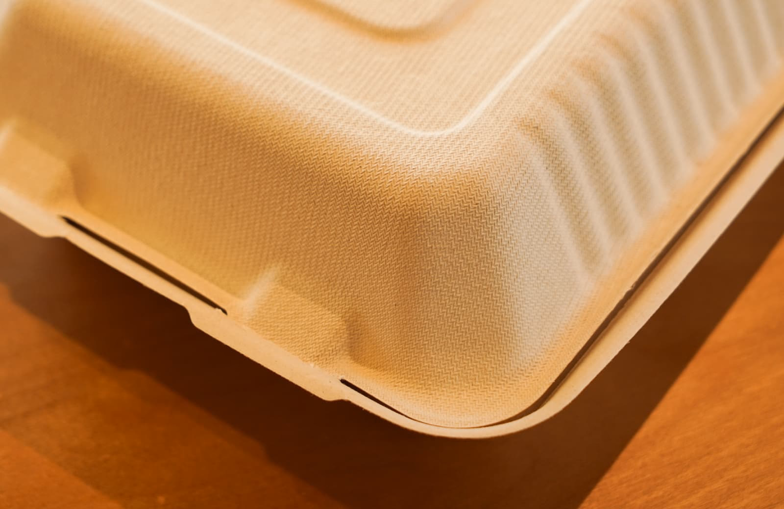 100% Compostable Clamshell Food Container
