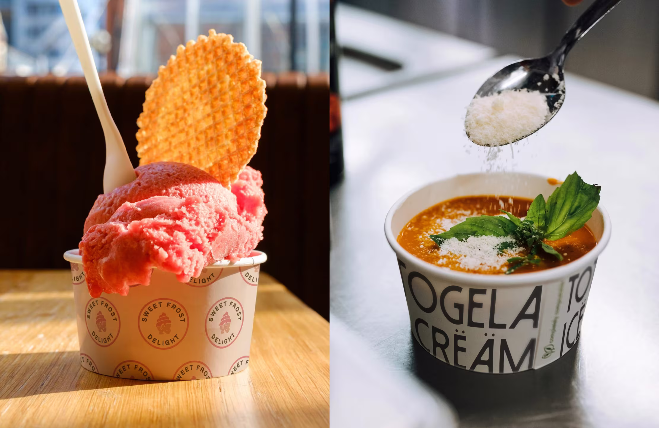 Disposable Paper Bowls